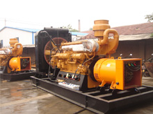 滨湖发电机组的频率规格是如何确定的？